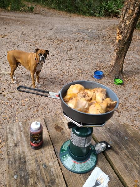 Coleman BottleTop Propane Stove with Adjustable Burner, Portable Camping/Backpacking Cooker with 7650 BTUs customer photo 1