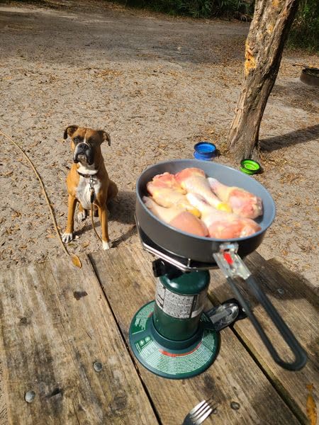 Coleman BottleTop Propane Stove with Adjustable Burner, Portable Camping/Backpacking Cooker with 7650 BTUs customer photo 2