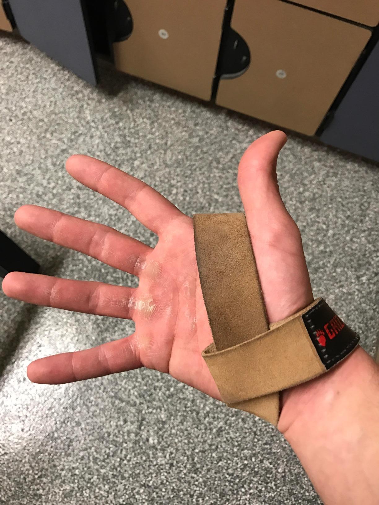 Grizzly Fitness 1.5