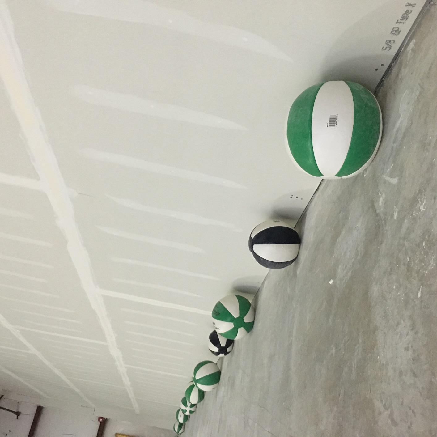 Leather Medicine Balls - Durable Weighted Balls for Strength, Core & Conditioning Training customer photo 2