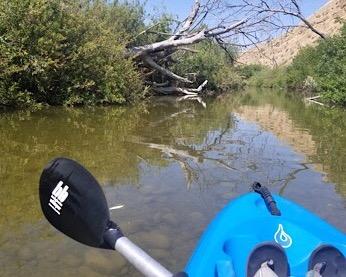 Bending Branches Whisper Kayak Paddle - 2-Piece Aluminum Shaft, Polypropylene Blades, Adjustable 0deg/60deg Feathering, Black Comfort Grips, Dihedral Blade Design for Recreational Paddling customer photo 1