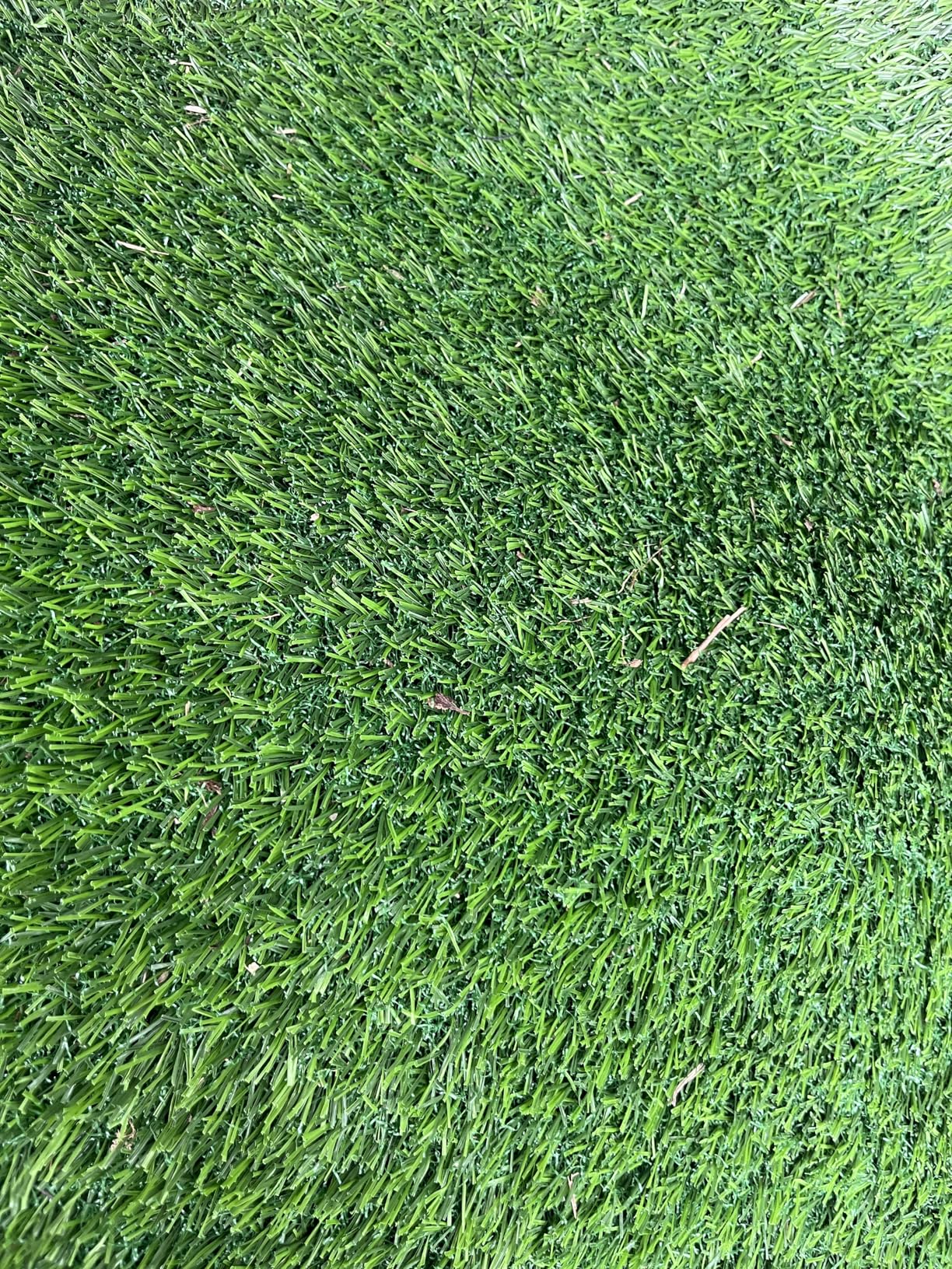DORSAL Grass Changing Surf Mat - Roll Up for Beach Change Red customer photo 2