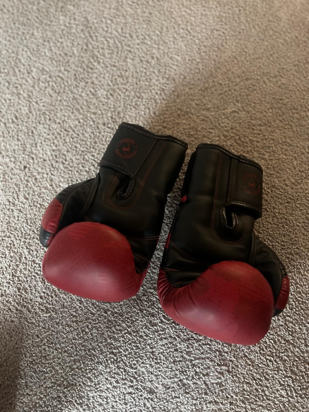 Venum Elite Boxing Gloves - Premium Leather Training Gloves for Boxing, Muay Thai & Kickboxing customer photo 2