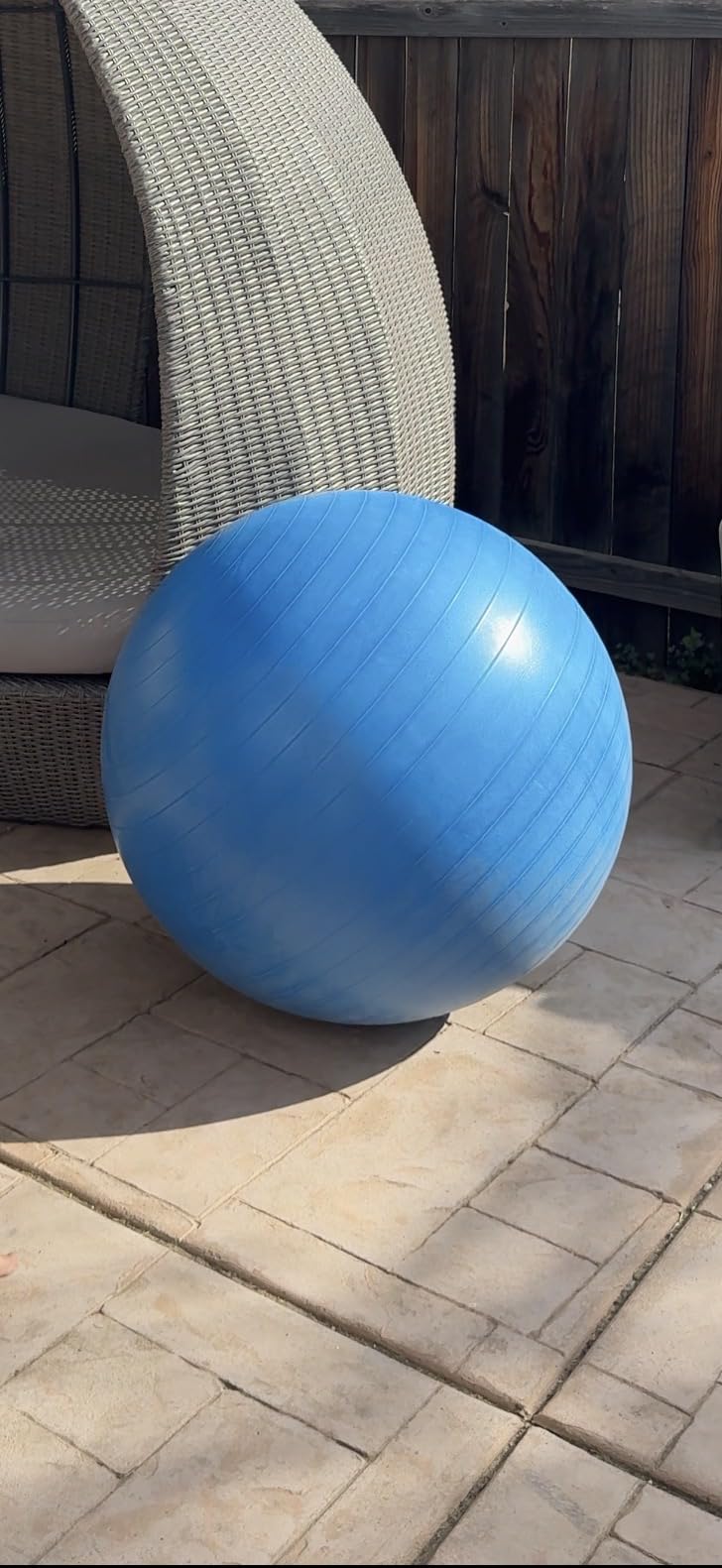ProBody Pilates Exercise Ball - Multiple Sizes Gym Grade Balance Ball for Fitness, Yoga, Workout, Pregnancy & Physical Therapy customer photo 1