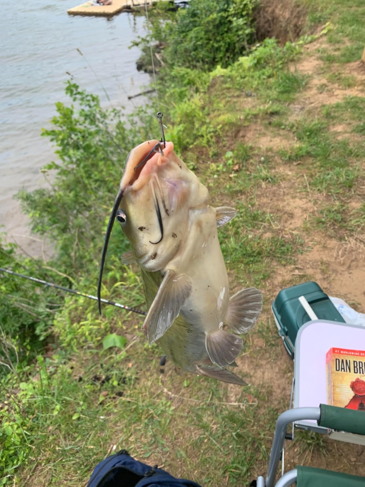 Ugly Stik 7' Catfish Spinning Fishing Rod and Reel Combo, Ugly Tech Construction with Clear Tip Design, 7' 2-Piece Moderate Fast Action Rod customer photo 1