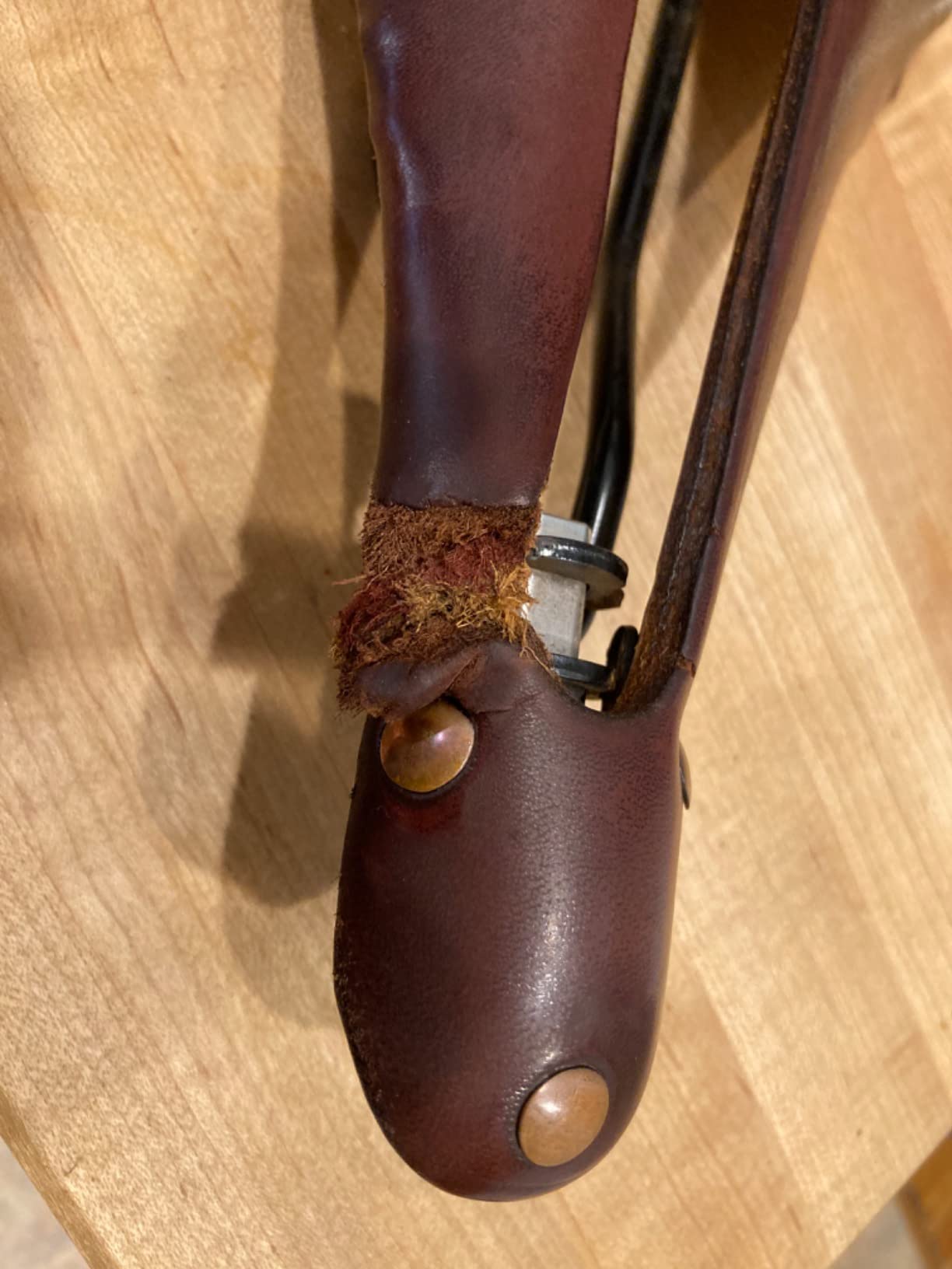 Selle Anatomica X1 Leather Bike Saddle customer photo 2