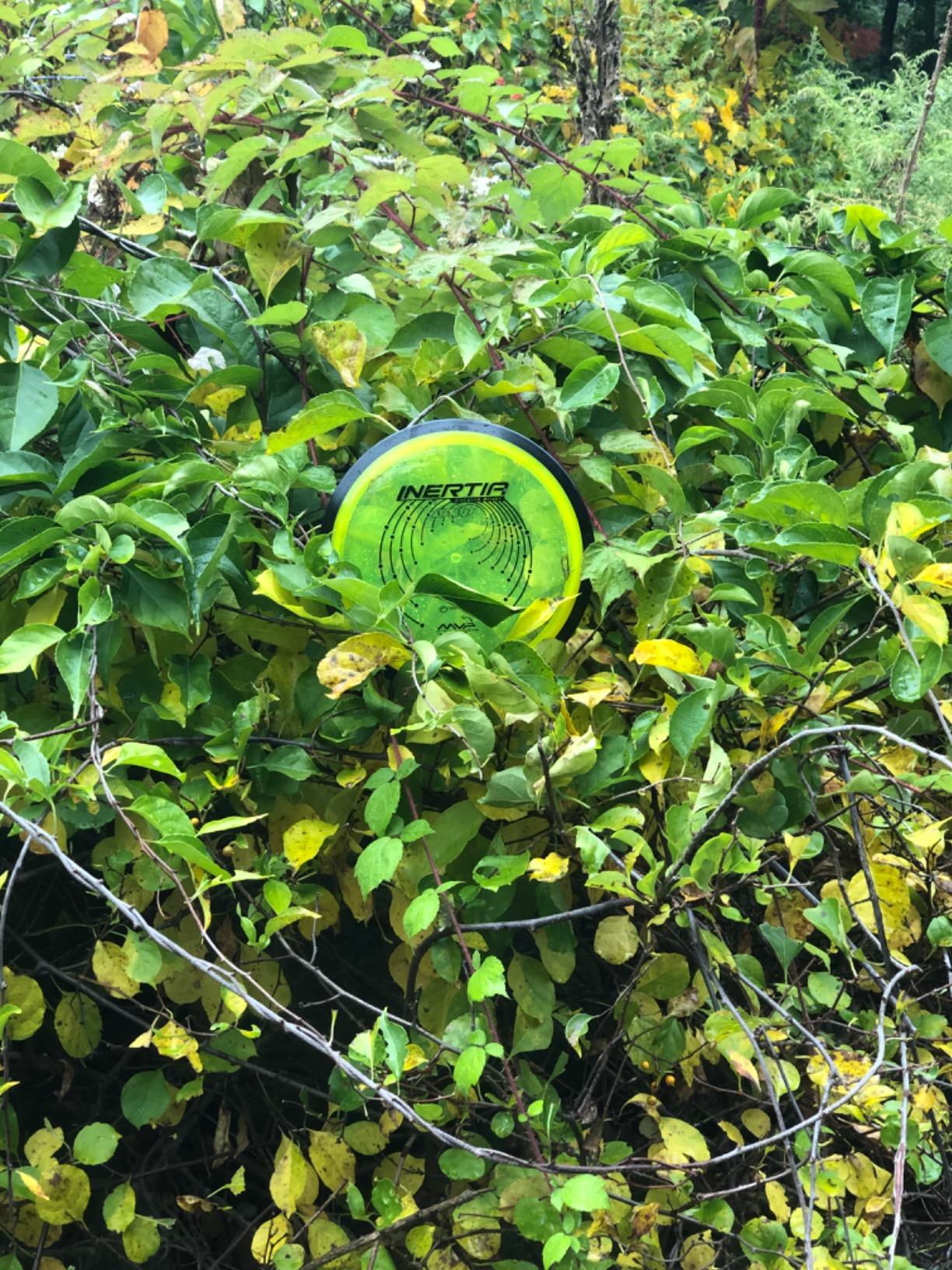 MVP Disc Sports Proton Inertia Disc Golf Distance Driver (Colors May Vary) customer photo 1