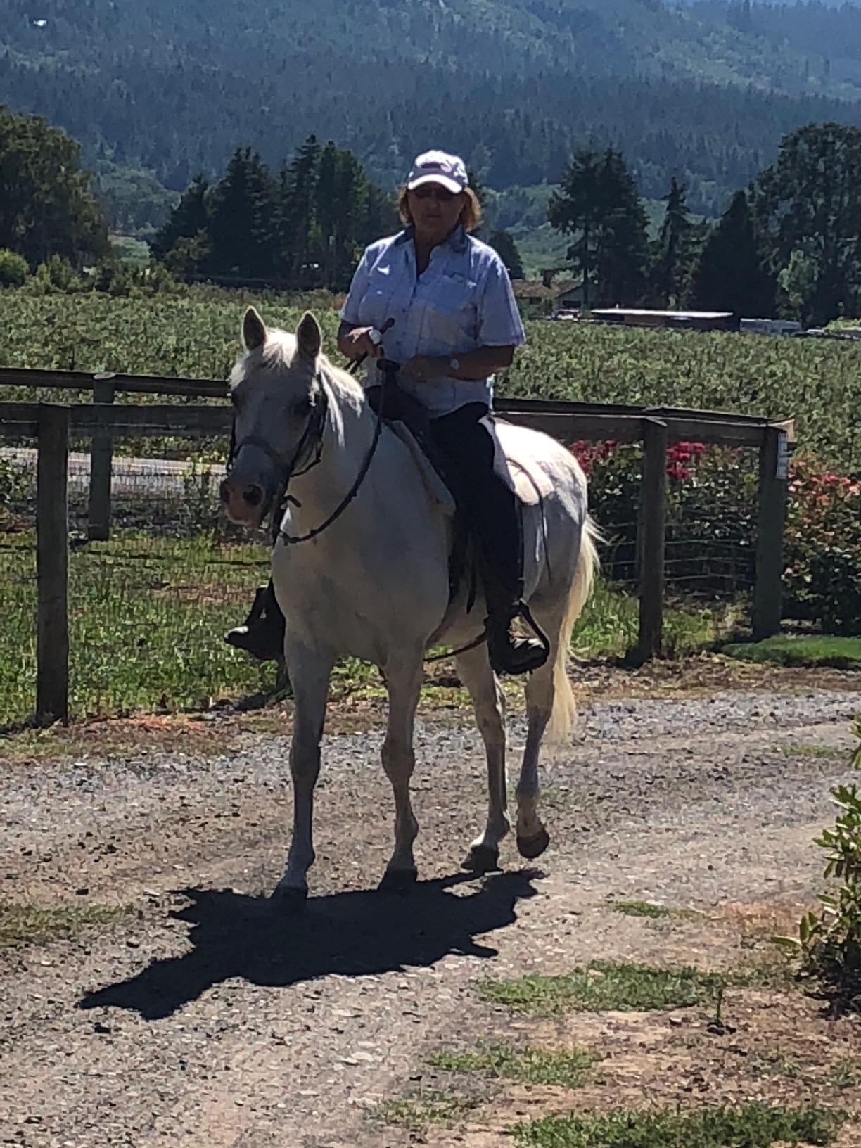 Womens Euro Melange Full Seat Neutral Beige Breeches customer photo 1