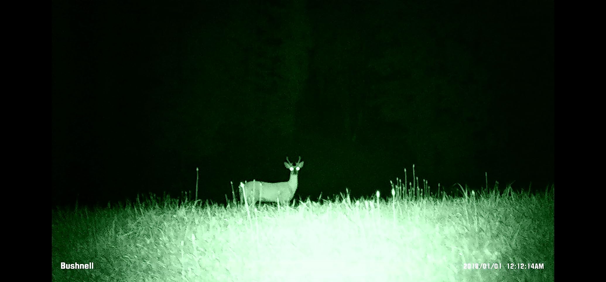 Bushnell Night Vision Equinox Z2 Monocular customer photo 2