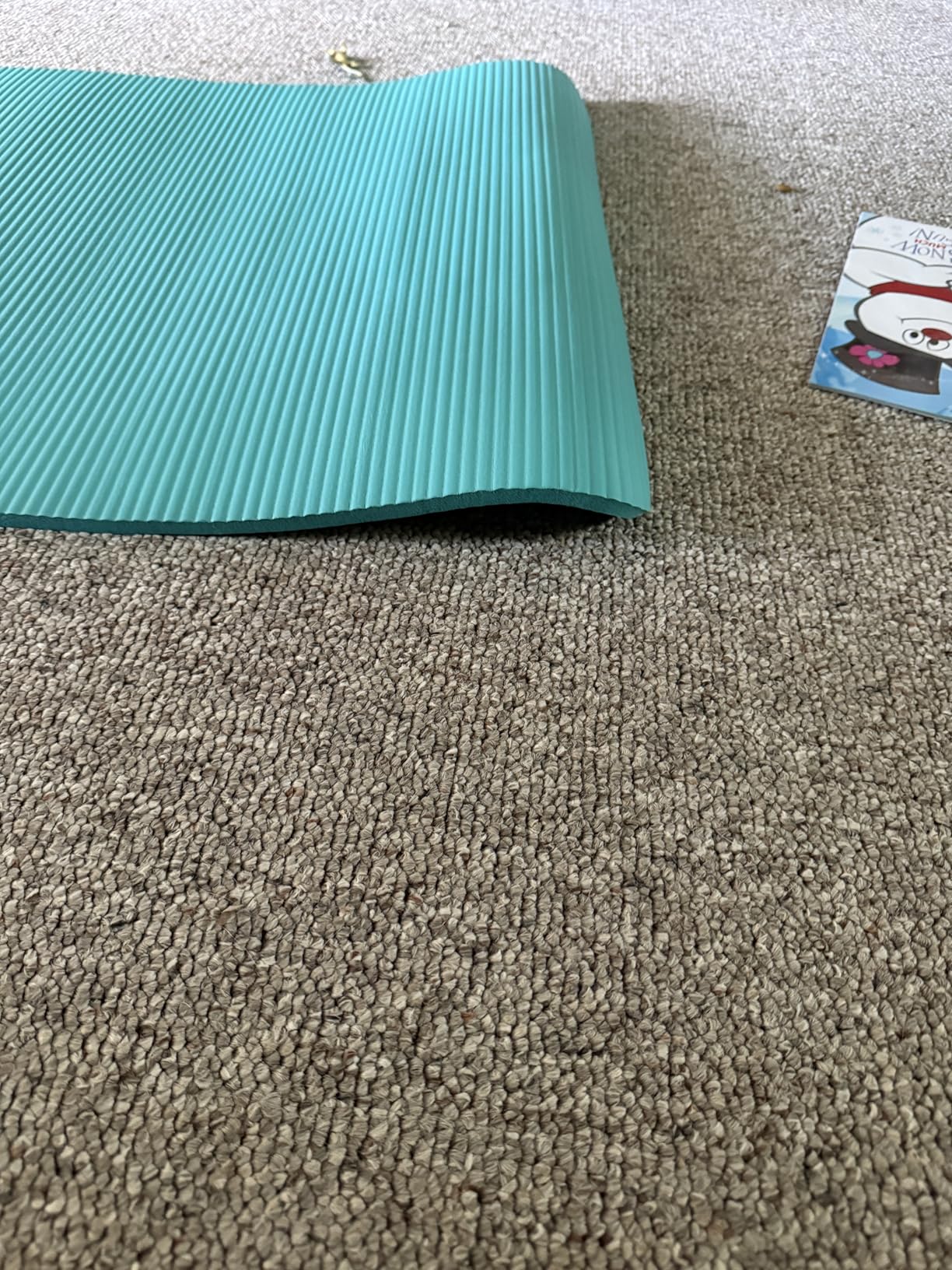 Gaiam Essentials 2/5