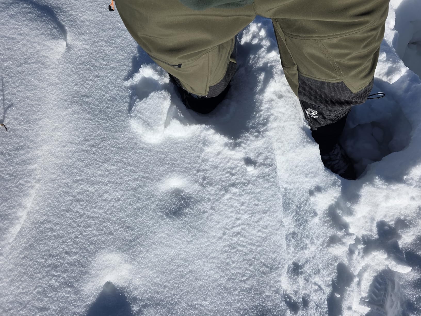 Pike Trail Adjustable Leg Gaiters - Lightweight, Waterproof - Leg Guards for Men & Women customer photo 1