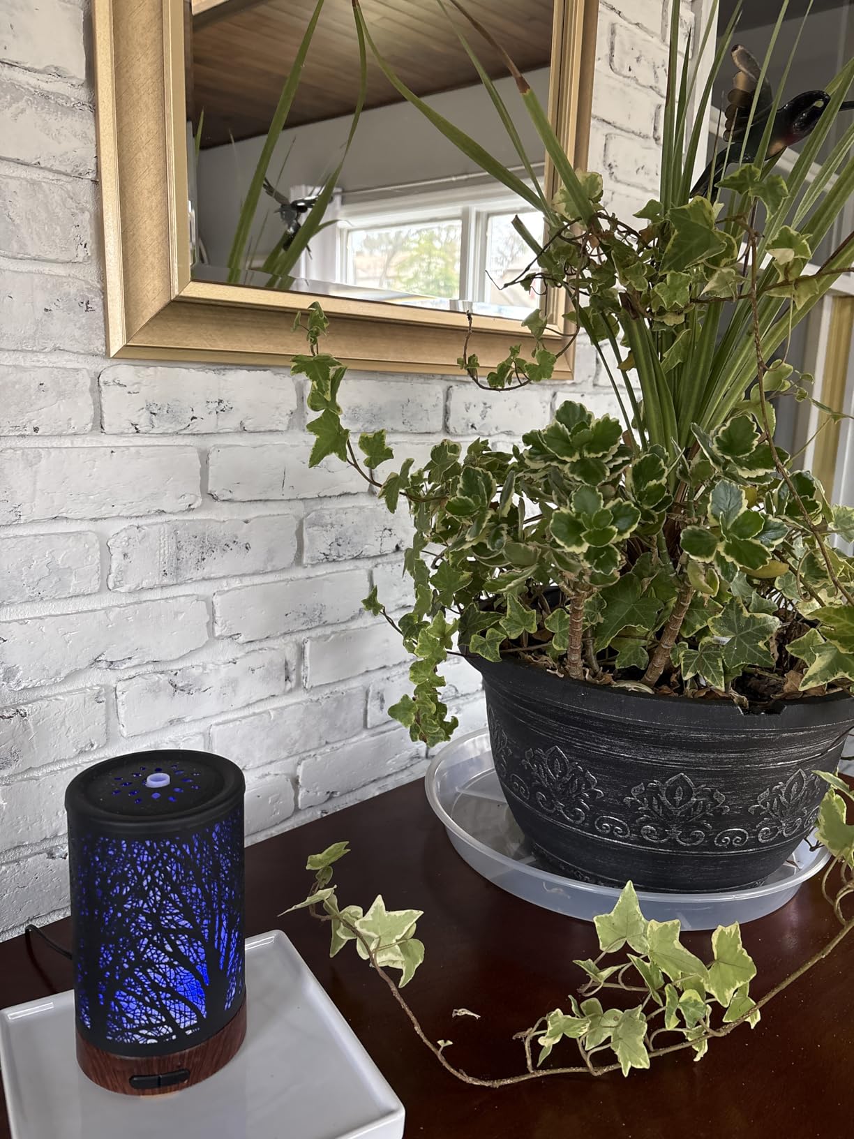 EQUSUPRO Essential Oil Diffuser 150ml Black Metal Aromatherapy Oil Diffuser Ultrasonic Cool Mist Diffuser with Auto Shut-Off Protection, 7 Colors Changed LED for Home Office SPA Yoga (A-Tree) customer photo 1
