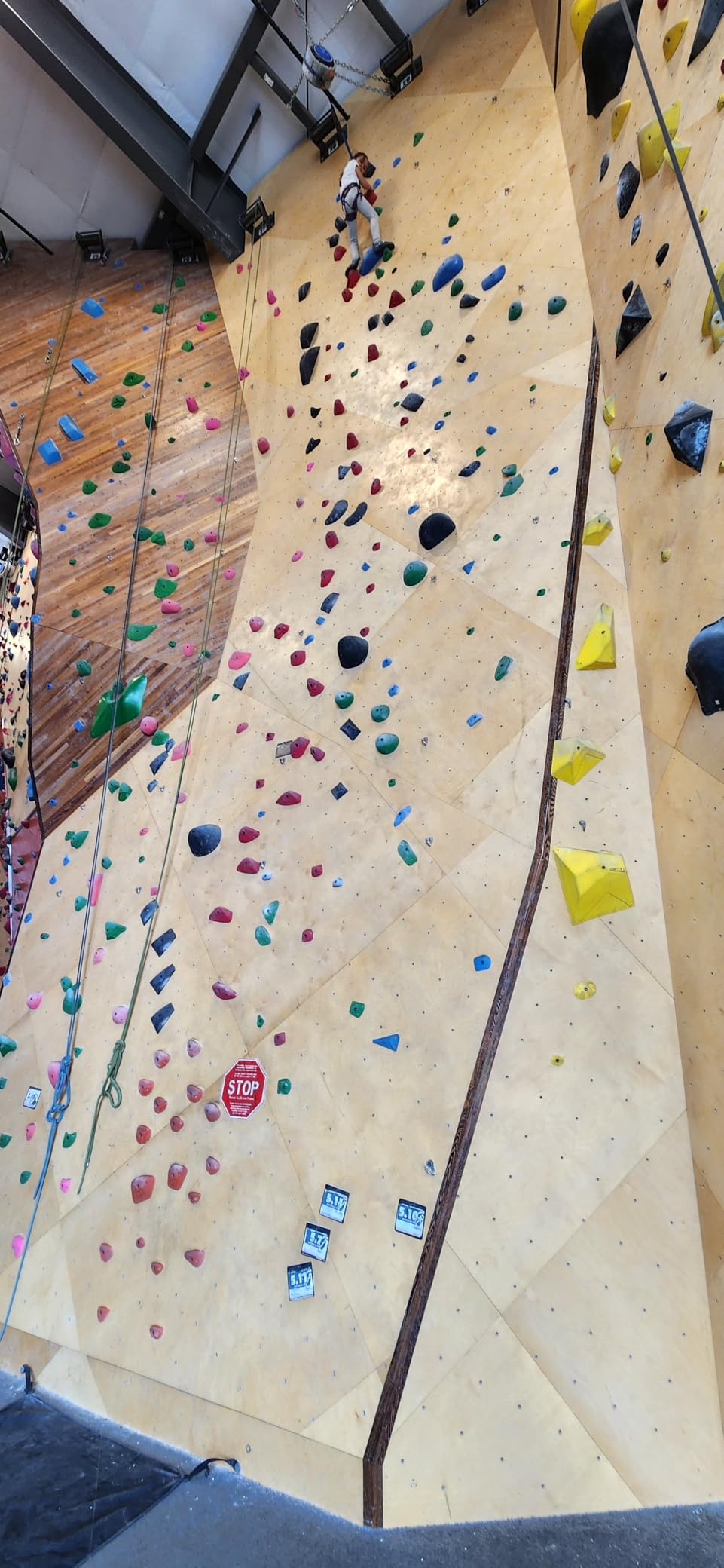 EVOLV Venga Kids' Rock Climbing Shoe for Bouldering & Indoor Climbing customer photo 1