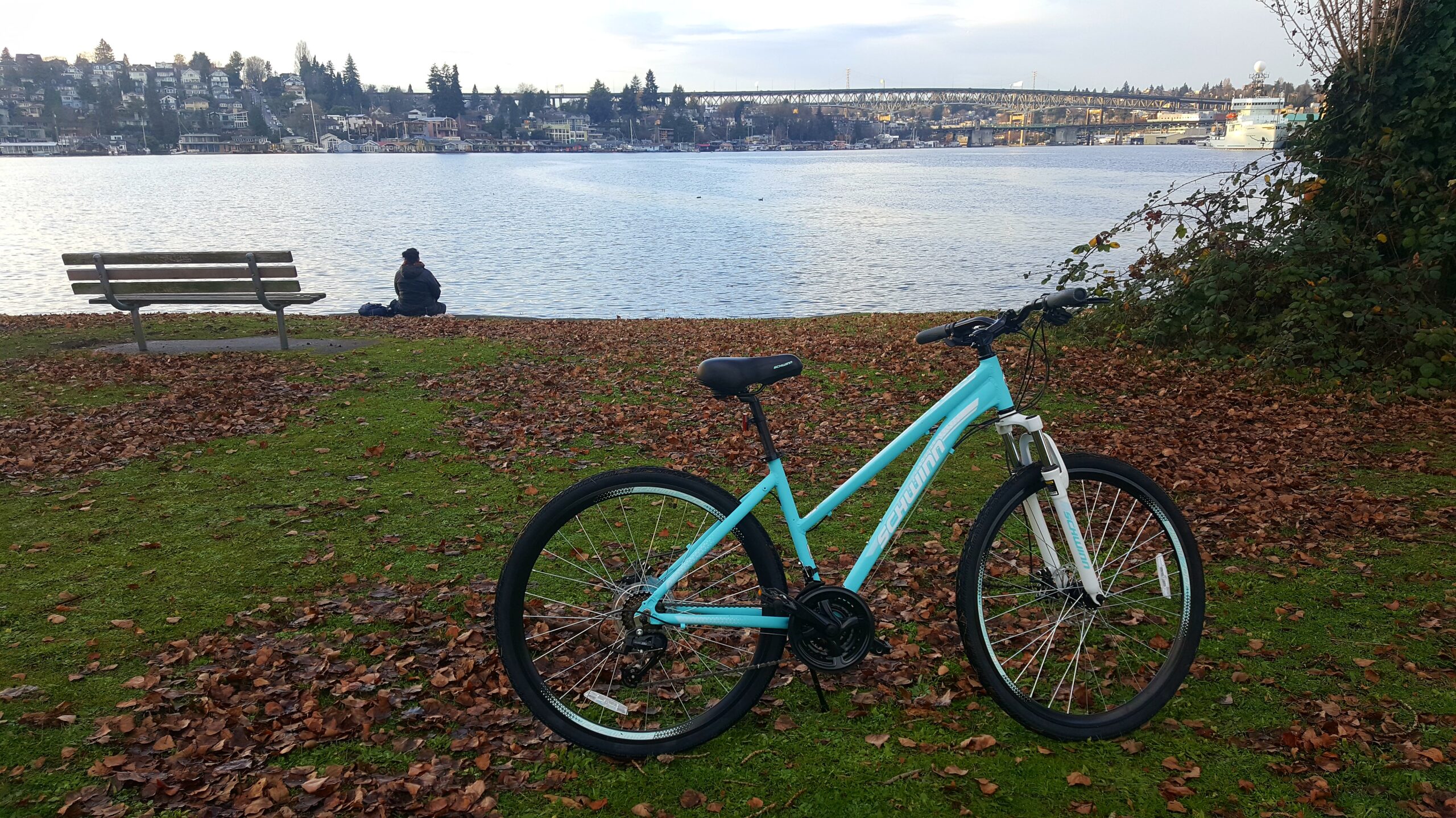 Schwinn GTX Comfort Adult Hybrid Bike, Men and Women, Dual Sport Bicycle, 700c Wheels customer photo 2