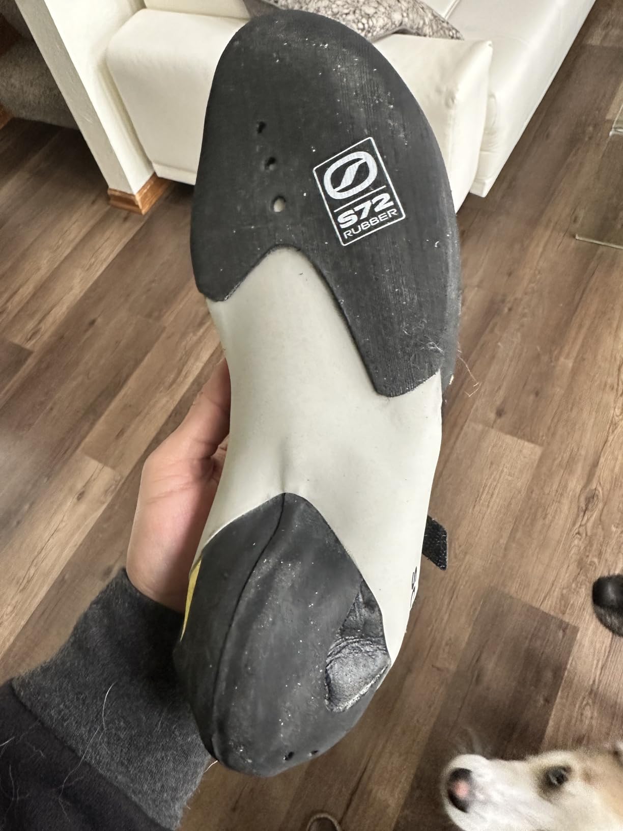 Scarpa Men's Veloce Rock Climbing Shoes for Gym Climbing customer photo 2