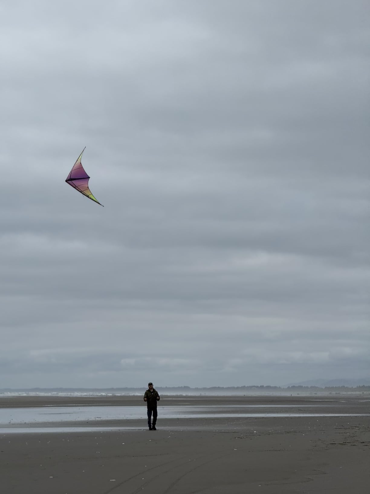 Jazz 2.0 Dual-line Sport Kite Ready to Fly with Flying Lines, Wrist Straps, Winder, Instructions, and Storage Bag customer photo 1