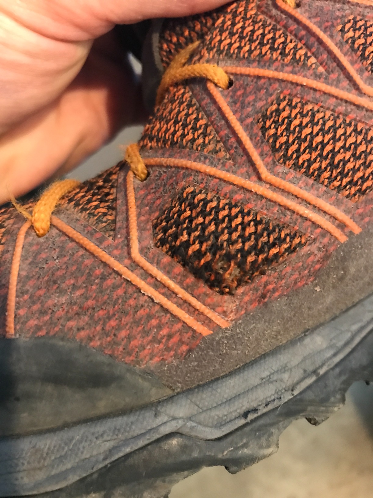 Salewa Mountain Trainer Lite customer photo 2