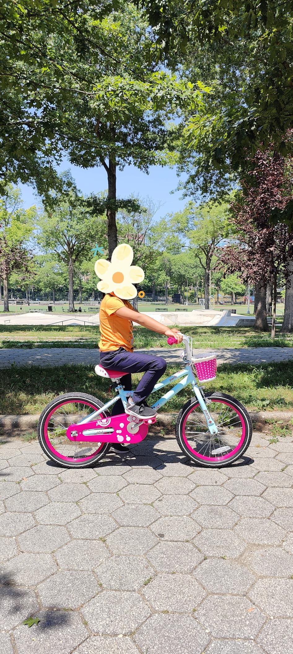 JOYSTAR Paris Girls Bike for Ages 3-8 Years Old, 14 16 18 Inch Starter Bicycle customer photo 2