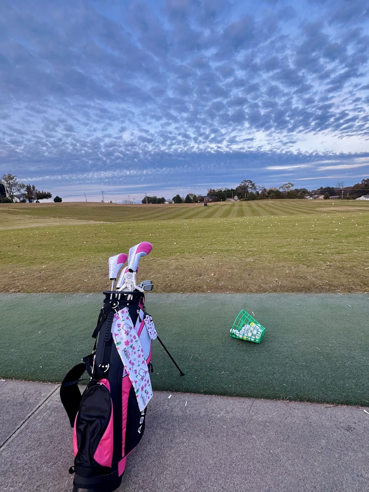 Aspire XD1 Womens Golf Clubs Full Set, Includes Driver, Fairway, Hybrid, 6-PW Irons, Putter, Stand Bag, 3 H/C's, Ultra-Light Graphite Shafts, Pink customer photo 1