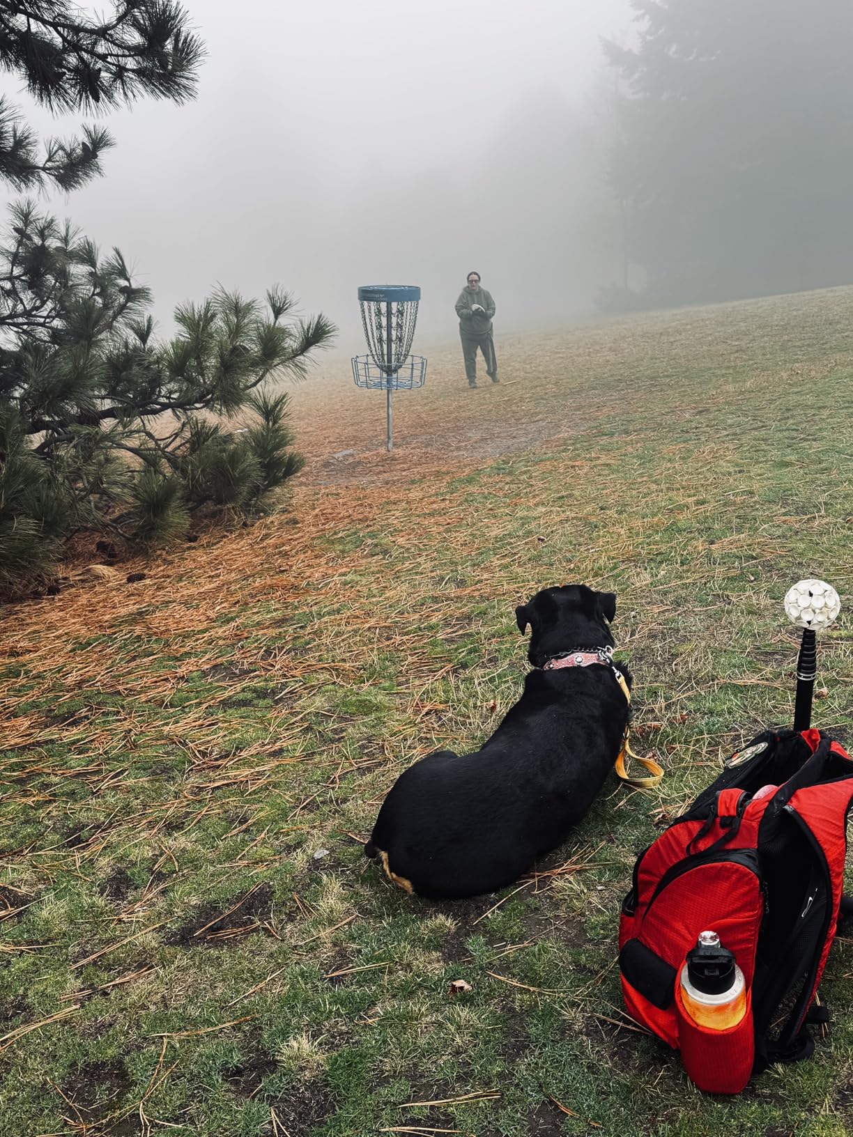 Prodigy Disc BP-1 V3 Disc Golf Backpack | Backpack Storage with 30+ Disc Capacity | Tear & Water Resistant | Golf Accessories for Men customer photo 1