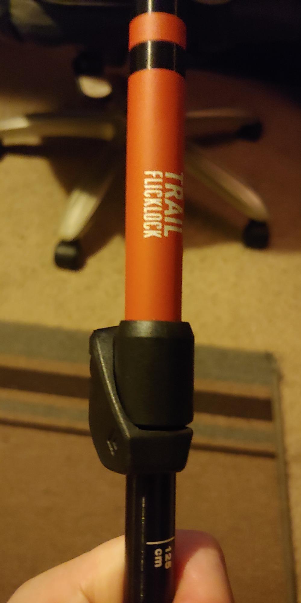 BLACK DIAMOND Trail Trekking Poles (Pair) | Lightweight Aluminum Hiking Poles | Natural, Cork, or Foam Grips | FlickLock Adjustable Shafts for All-Season Stability customer photo 1