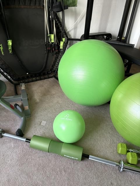 ProBody Pilates Ball 9 Inch - Small Exercise Ball for Stability, Barre, Core, Ab Workouts, Yoga, & Physical Therapy customer photo 1