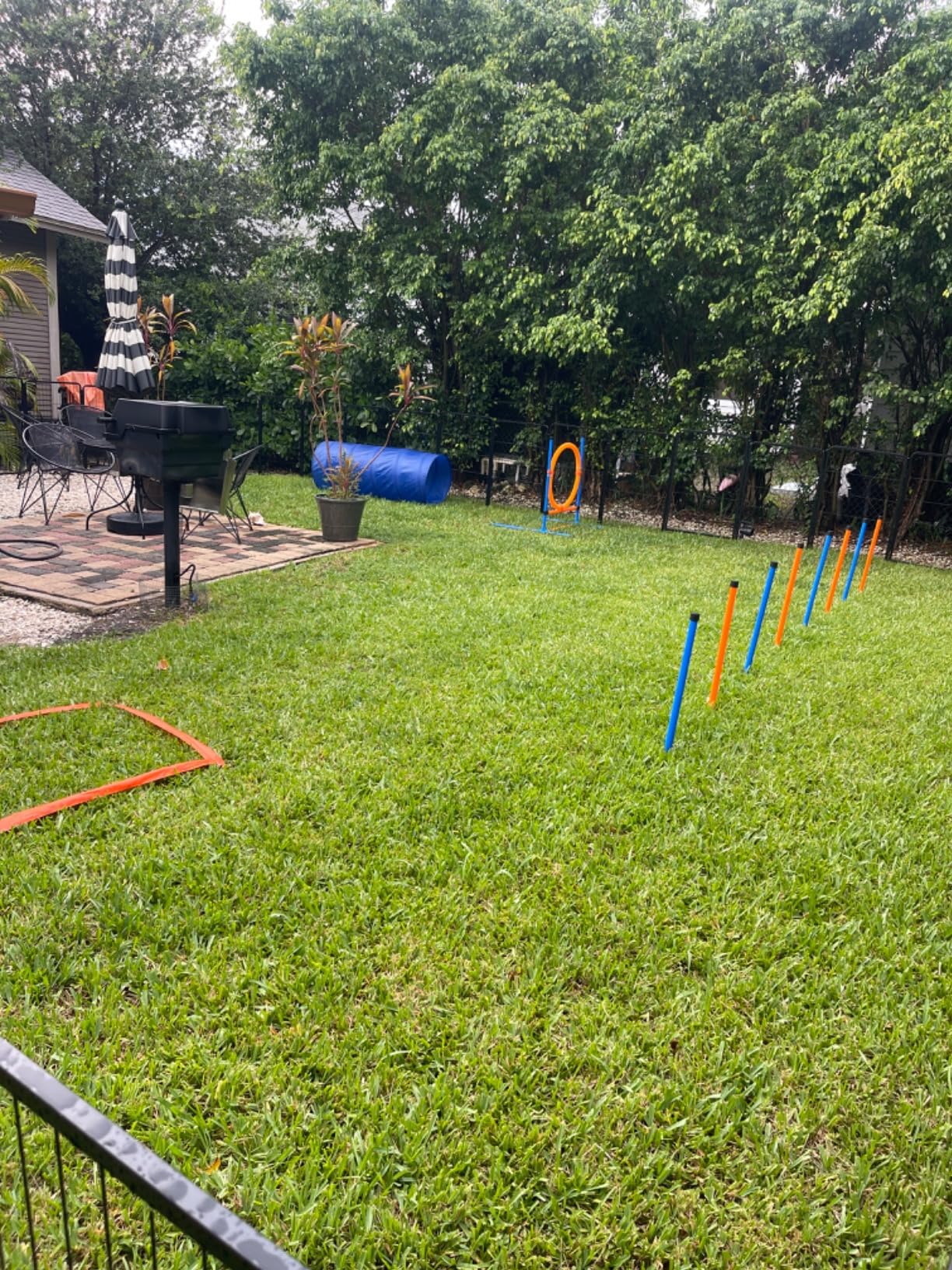 Dog Agility Training Equipment, 60-piece Dog Obstacle Course Training Starter Kit Pet Outdoor Game with Tunnel, Agility Hurdle, Weave Poles, Jump Ring, Pause Box, Toy Balls and Storage Bag customer photo 2
