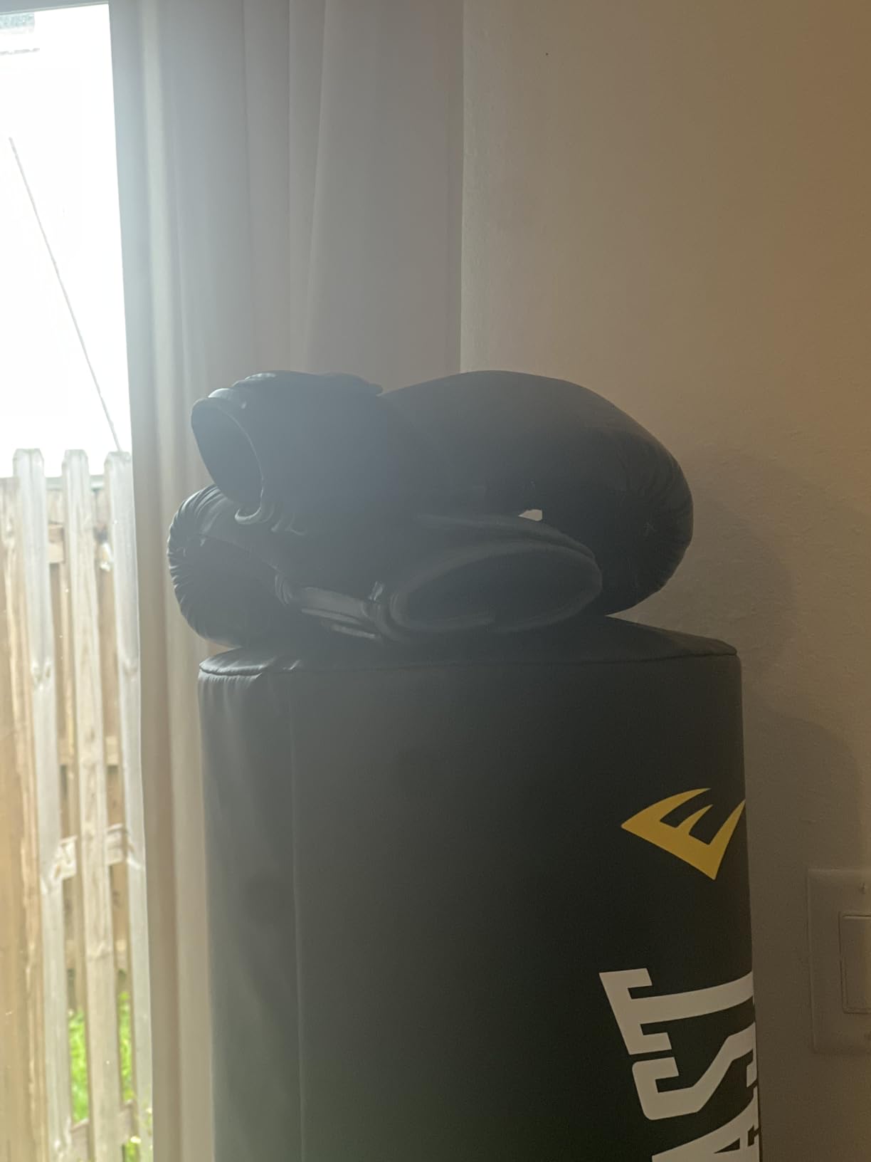 Everlast Powerlock 2 Hook & Loop Boxing Gloves | Fight Training Gloves | Heavy Bag & Fitness Training customer photo 1