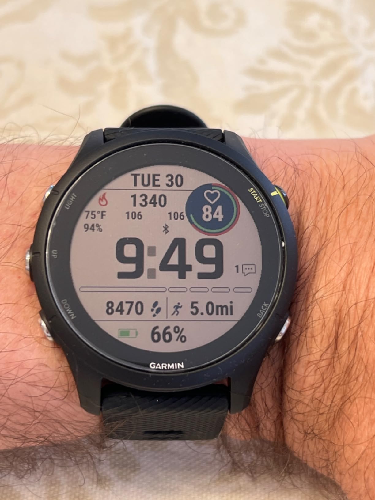 Garmin Forerunner 255 Music, GPS Running Smartwatch with Music, Advanced Insights, Long-Lasting Battery, White customer photo 2