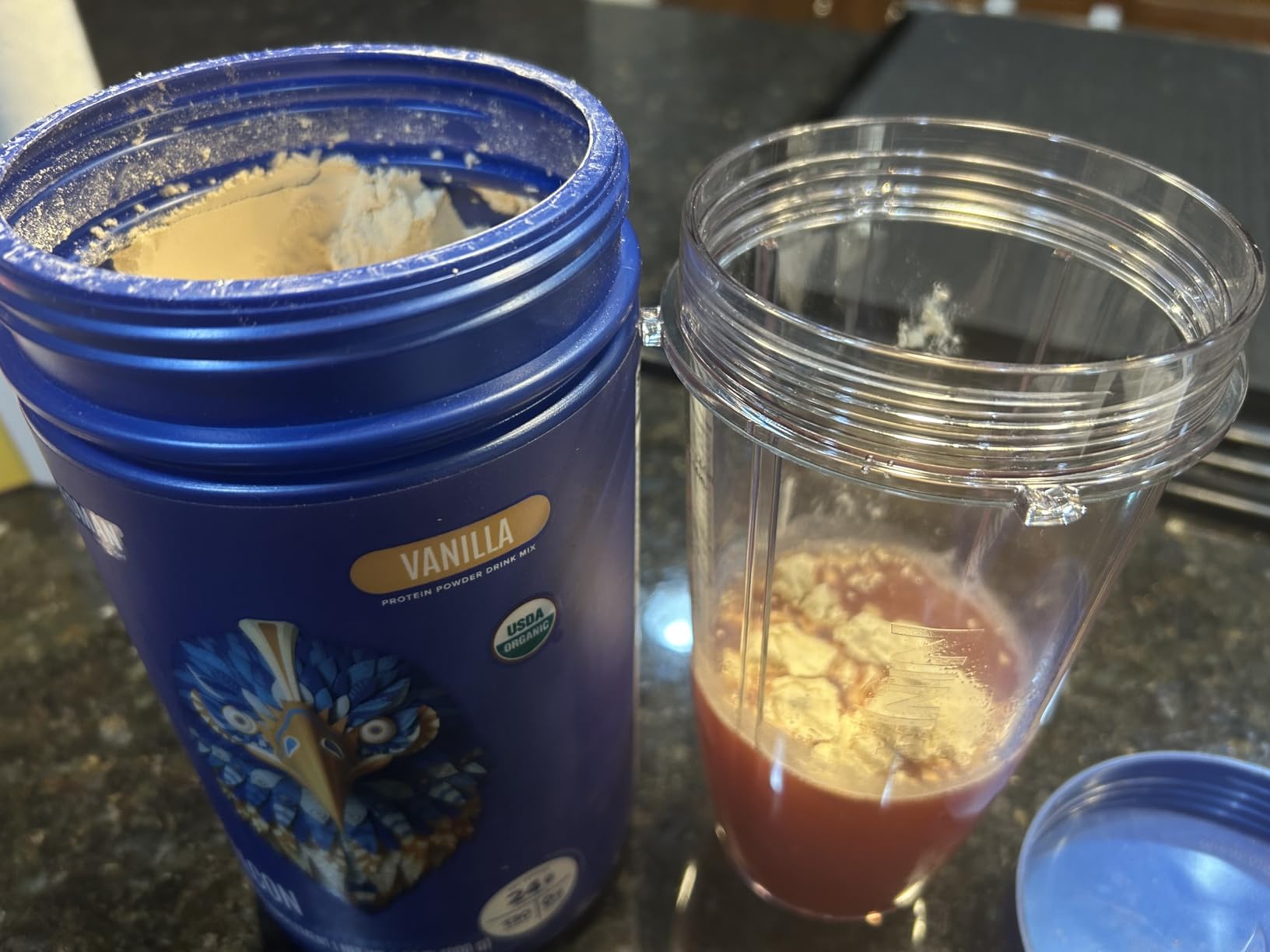 BIRDMAN Falcon Organic Vegan Protein Powder Vanilla, 24g Protein, Sugar Free, Probiotics, Low Carb, Keto Friendly, Dairy Free, Lactose Free, Non Whey, Plant Based Pea Protein Powder - 18 Servings customer photo 2