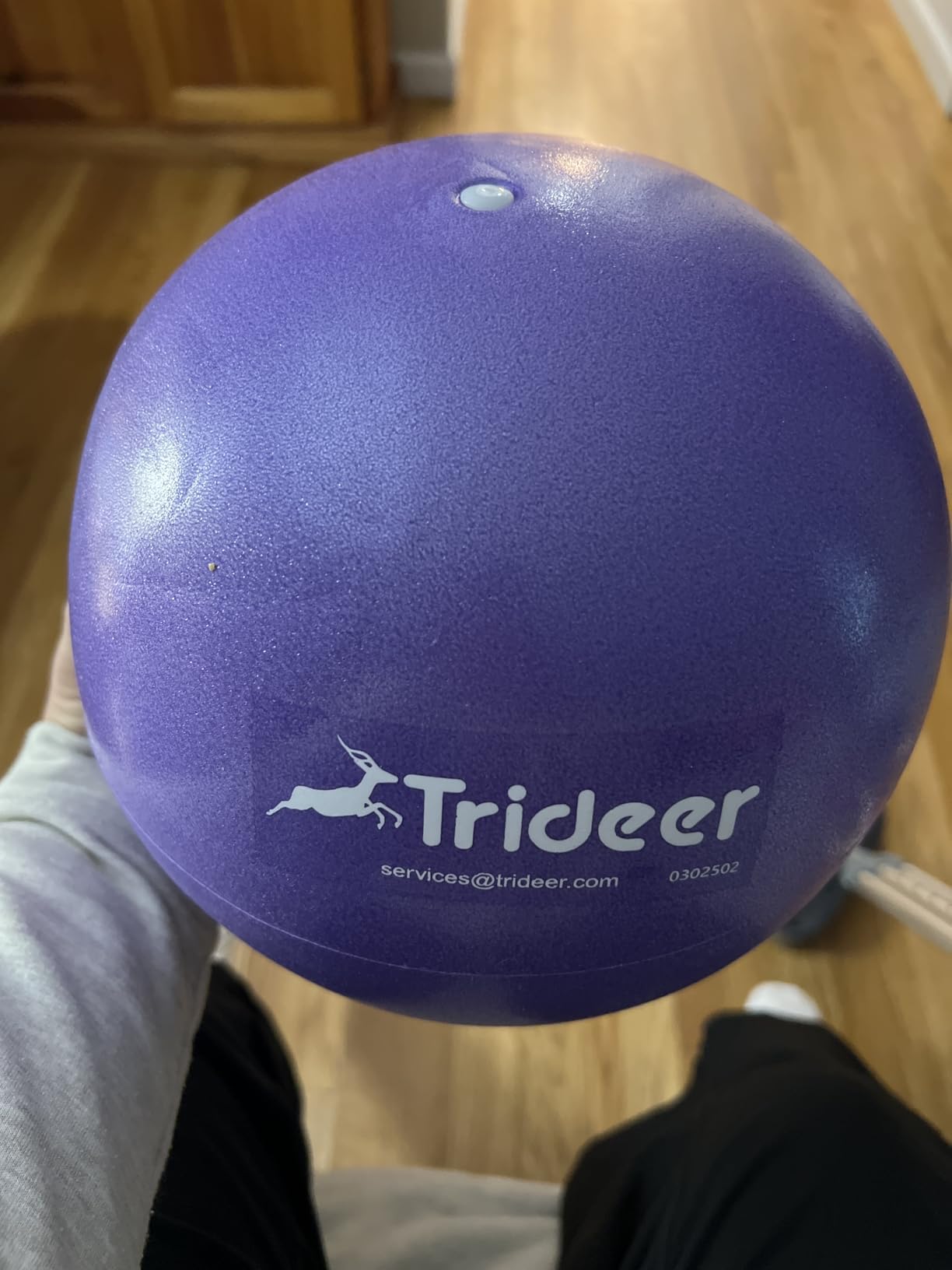 Trideer 9-Inch Pilates Ball, Small Exercise Ball for Yoga, Core Training, Physical Therapy, Balance, Stability and Stretching Pilates Equipment with Inflation Straw customer photo 2