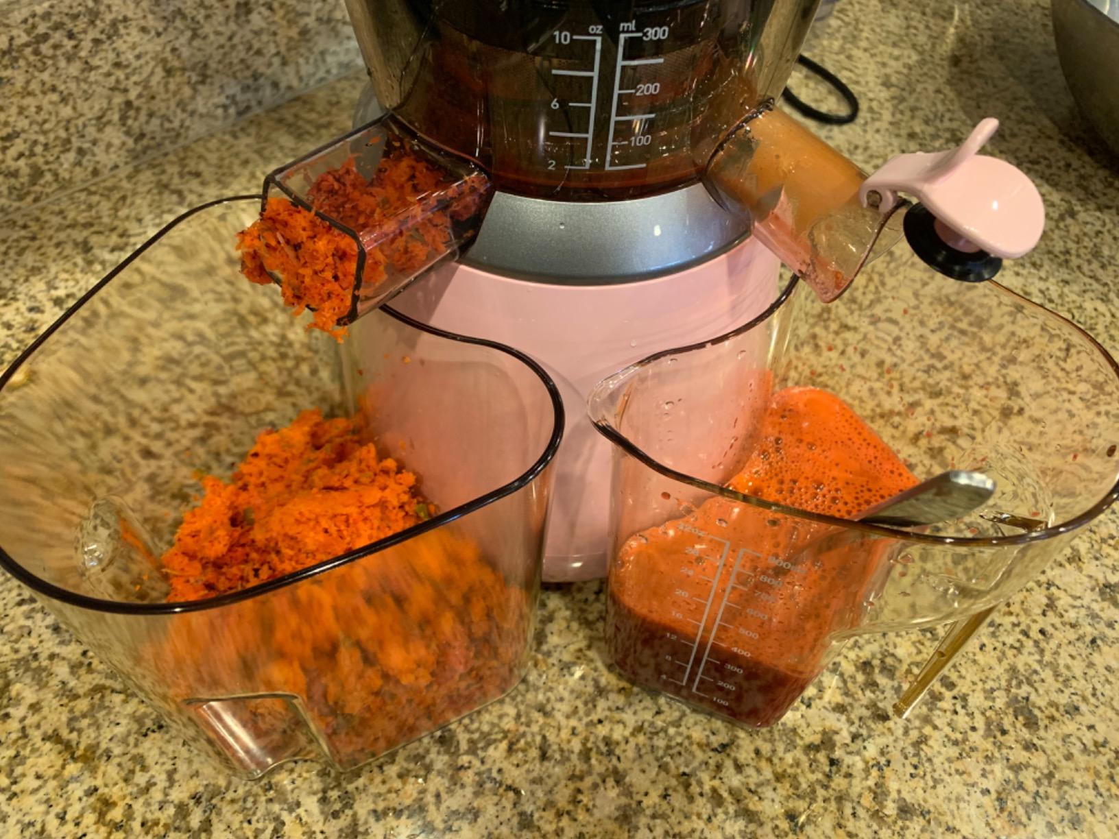 Hurom H310 Easy Clean Slow Juicer, Lavender | Compact | Quiet Motor | Hopper Fits Whole Produce | Scrub Free | Easy Assembly | Cold Press Masticating Juicer customer photo 2