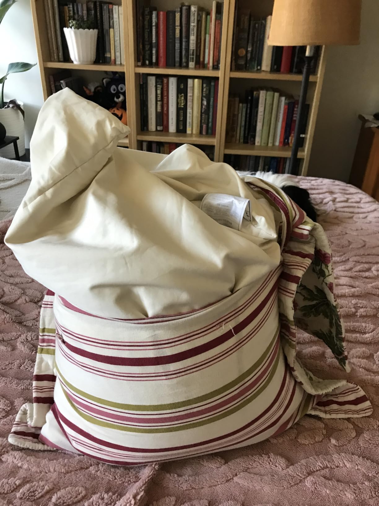 USlixury Organic Buckwheat Pillow for Sleeping with Extra Organic Pillowcase and Hulls, 14x20 Buckwheat Hull Pillow, Adjustable Height and Firmness, Firm Neck Support for Side Sleepers, Cool, White customer photo 2