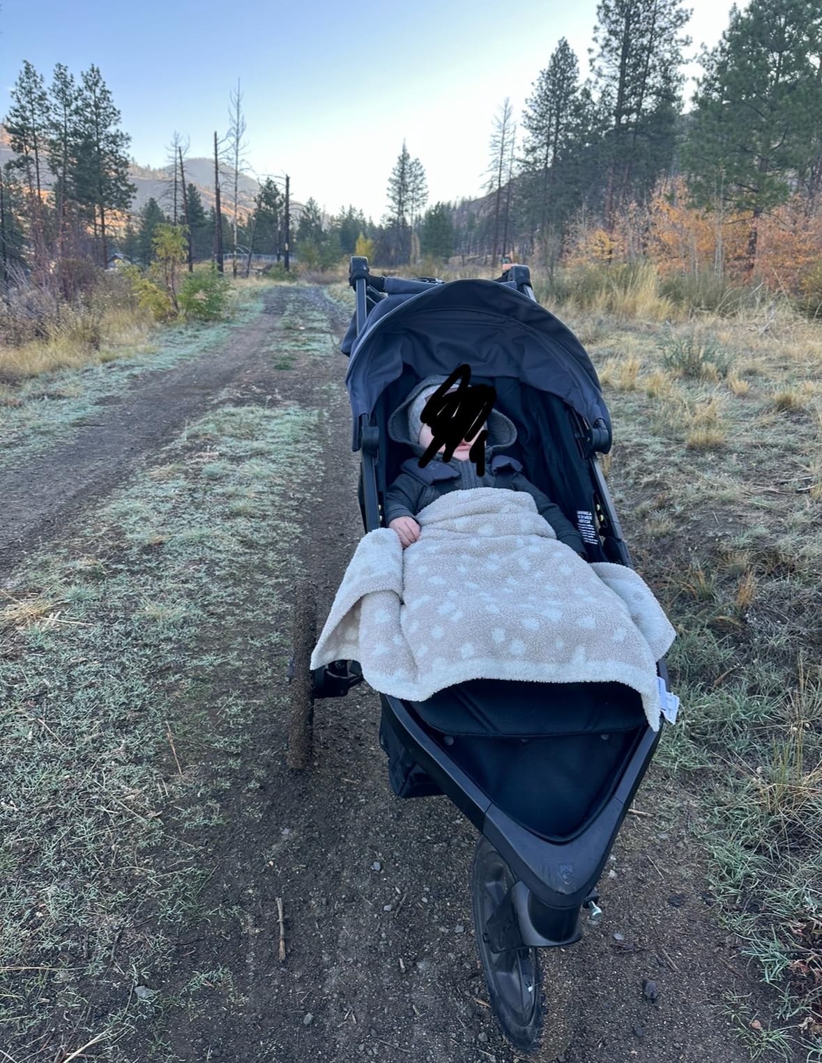 BOB Gear Wayfinder Jogging Stroller with Independent Dual Suspension, Air-Filled Tires, and 75-Pound Weight Capacity, Storm customer photo 1