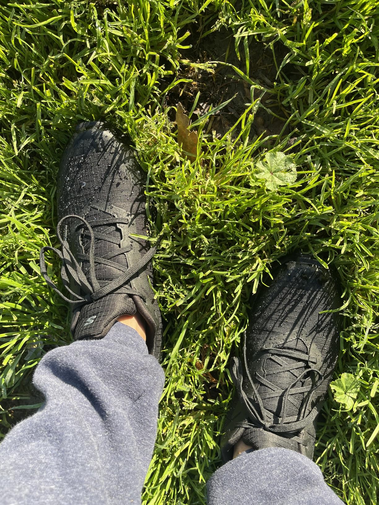 Men's Alphacross 5 Gore-TEX Trail Running Shoes customer photo 1