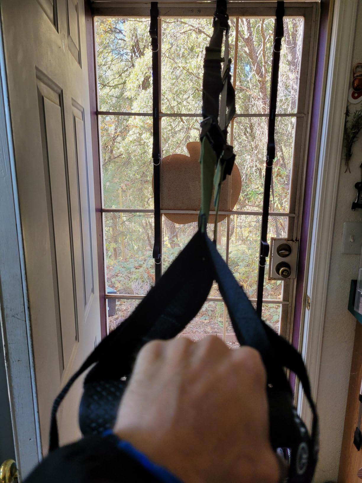 THYSOL Resistance Trainer Pro Xtreme Straps | Sling Trainer Set with Adjustable Door Anchor | Suitable for Travelling & for Training Indoor & Outdoor customer photo 2