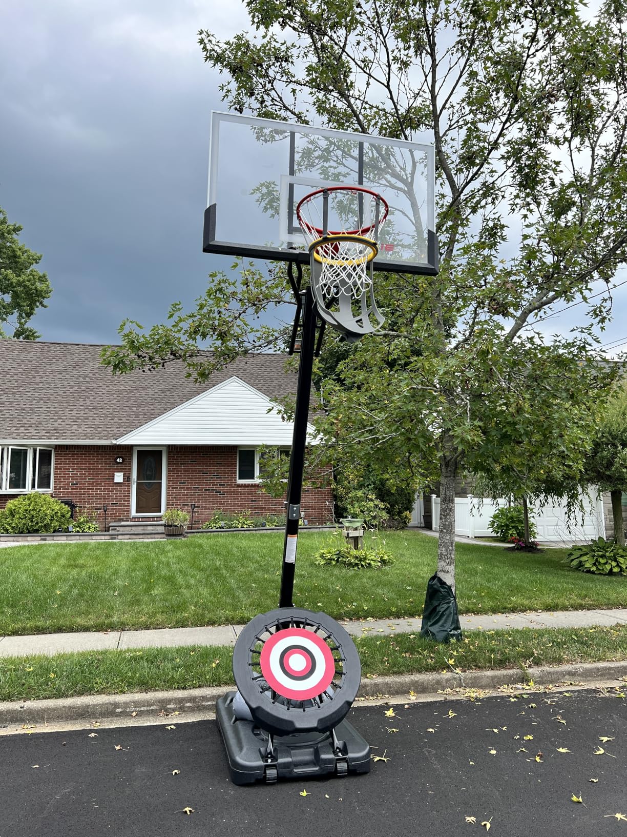 IE SPORTS Portable Basketball Hoop Outdoor 7.5-10ft Adjustable Height, 44-54 Inch Impact Backboard and Basketball Rebounder, Outdoor Basketball Hoop Goal System for Kids and Adults customer photo 2