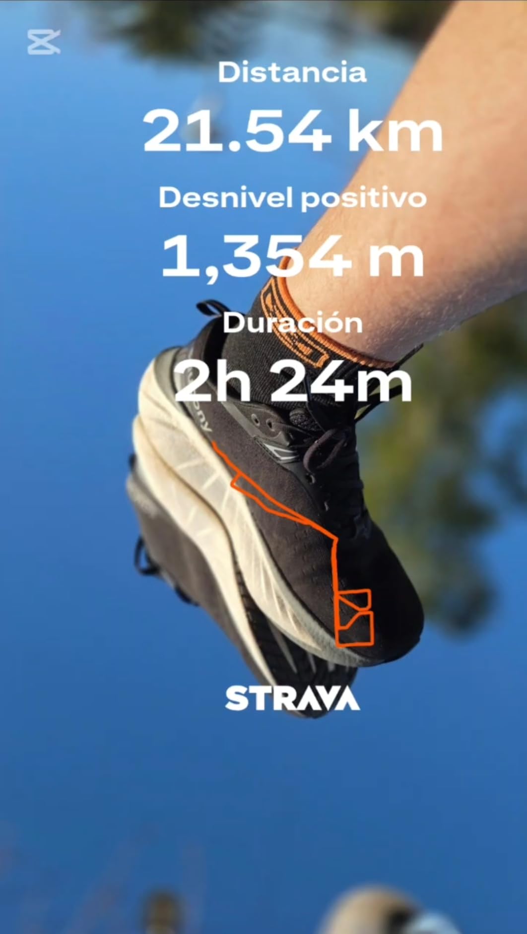 Saucony Men's Triumph 22 Sneaker customer photo 2