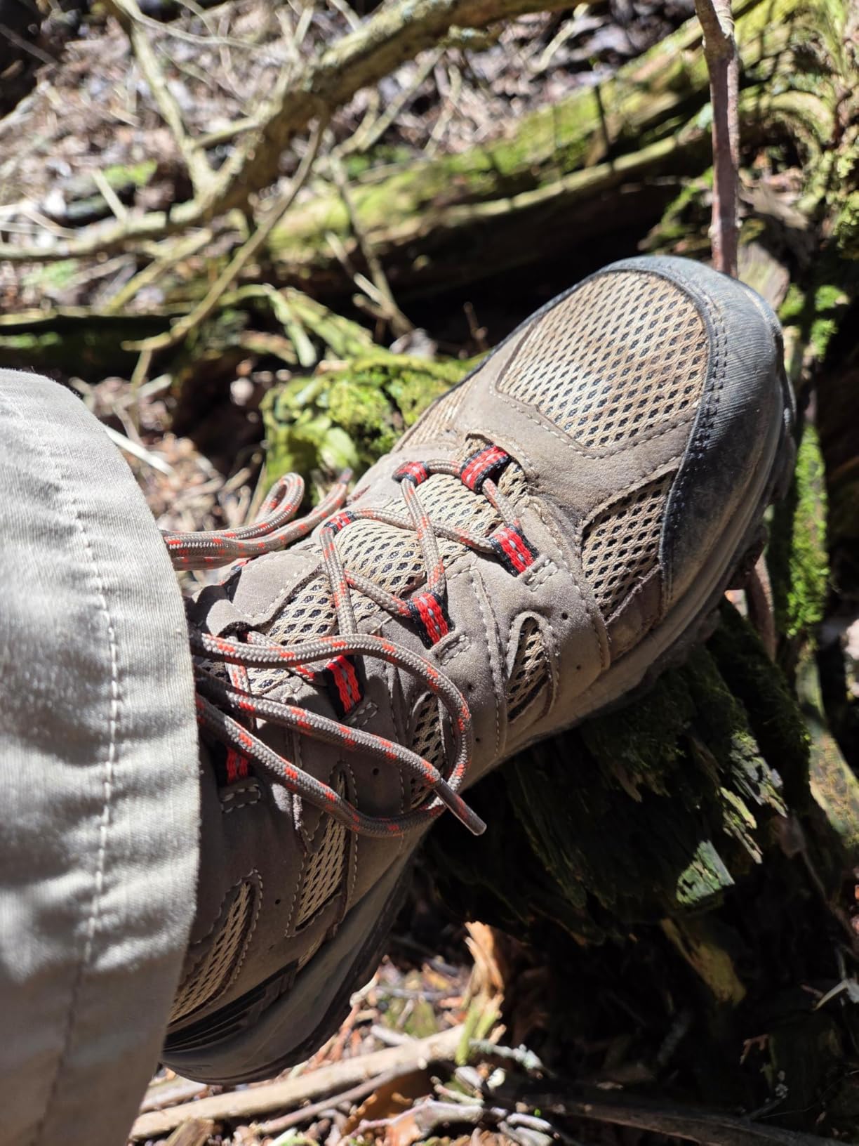Women's Waterproof Hiking Boots Outdoor Trekking Mid Backpacking Mountaineering Lightweight Boots customer photo 1