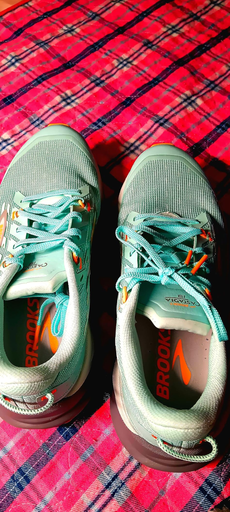 Brooks Women's Cascadia 19 Mountain Trail Running Shoe customer photo 1