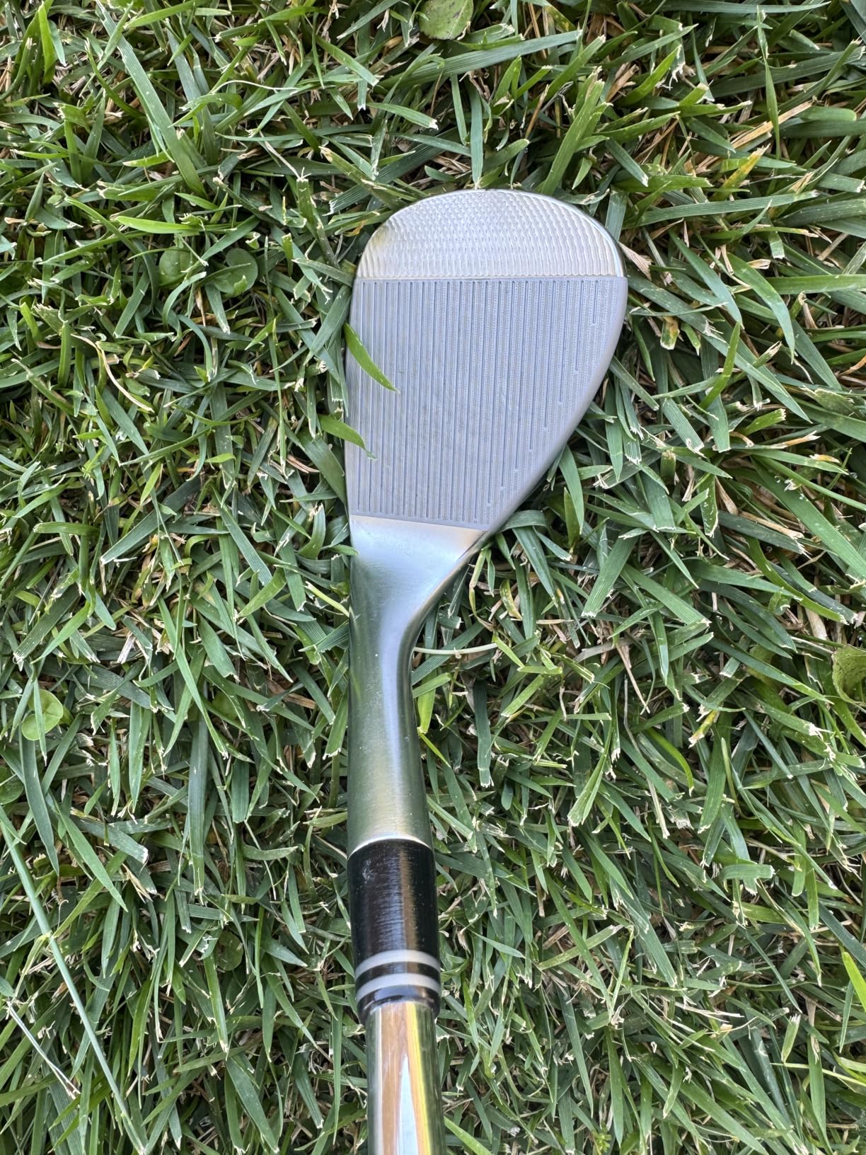 Cleveland RTZ Wedge customer photo 2