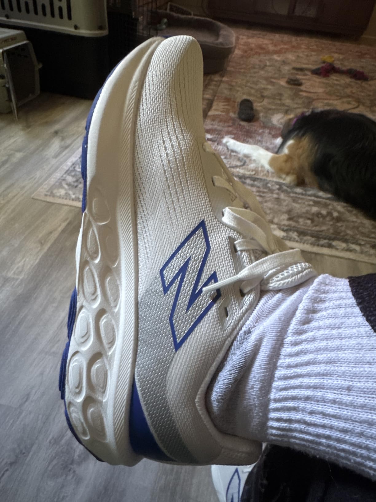 New Balance Men's Fresh Foam 520 V9 Running Shoe customer photo 2