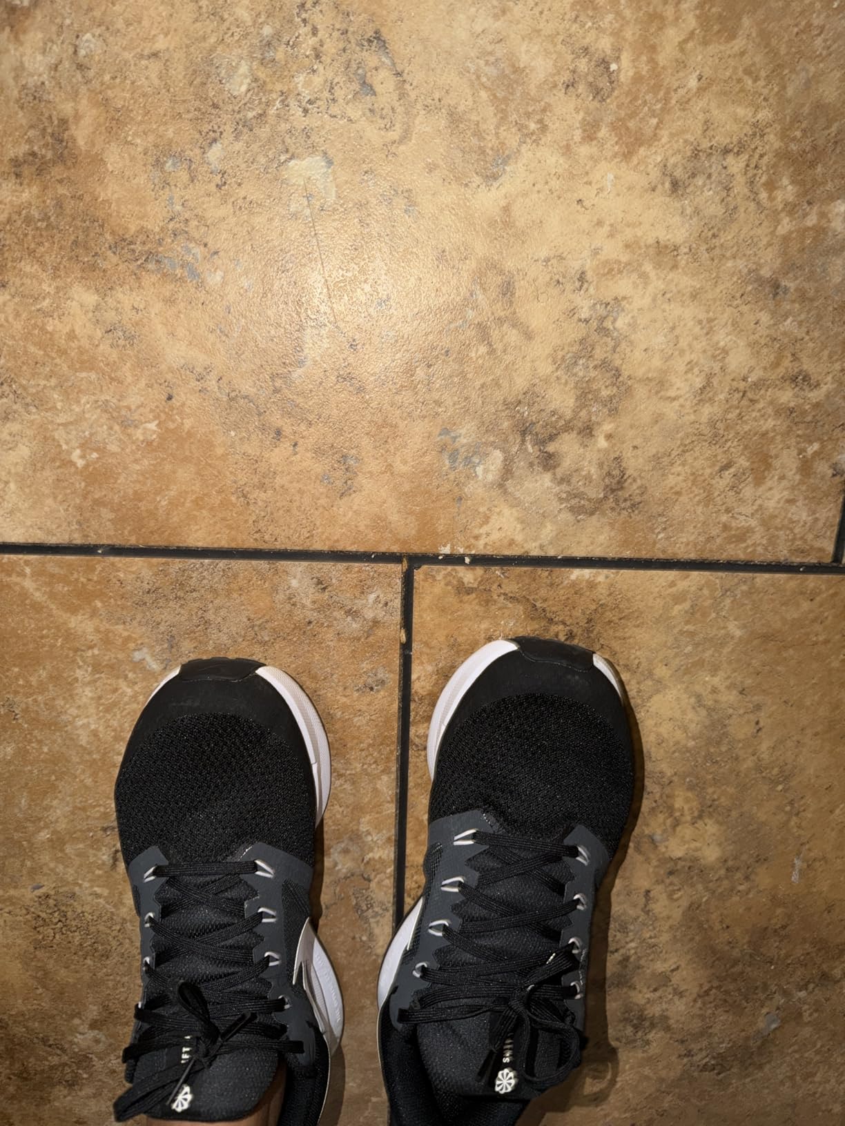 Nike Women's Run Swift 3 Road Running Shoes customer photo 2