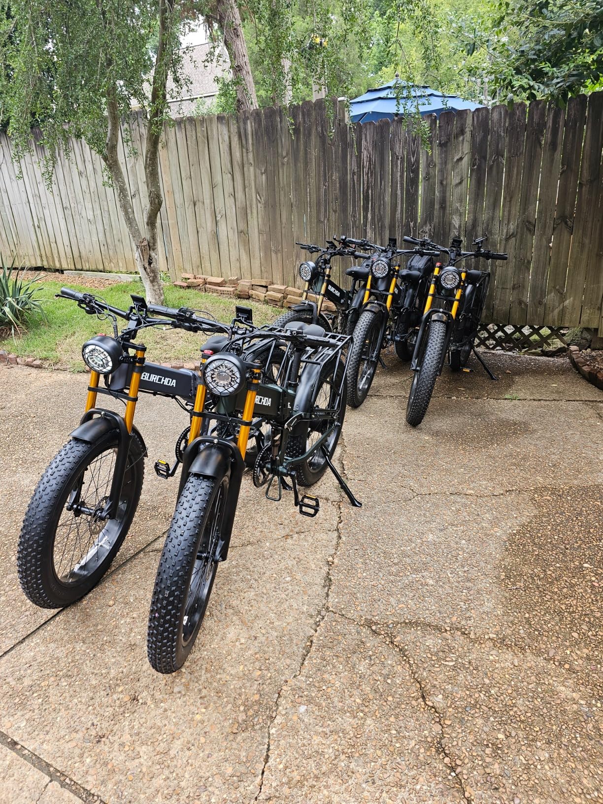 DAMSON Electric Bike for Adults Dual Motor AWD 5000W/3000W/1500W Peak 40MPH/30MPH Dirt Ebike, 52V/48V Max-Output Up to 65/80/120/160 Miles Long Range, 26