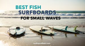 Best Fish Surfboards for Small Waves