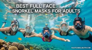Best Full Face Snorkel Masks for Adults