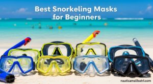 Best Snorkeling Masks for Beginners