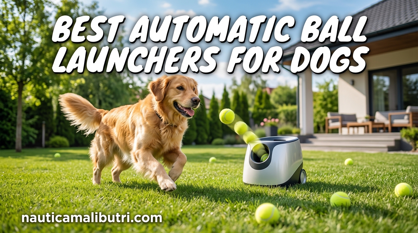10 Best Automatic Ball Launchers for Dogs ([nmf] [cy]) Tested & Reviewed