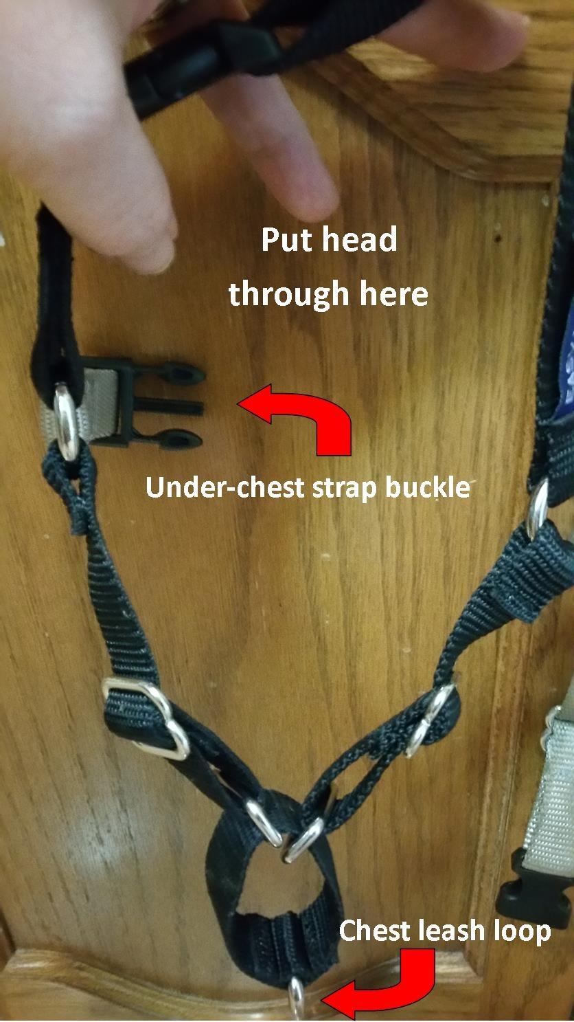 PetSafe Easy Walk No-Pull Dog Harness - Patented Martingale Loop Design to Help Stop Pulling on Walks customer photo 1