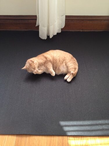 Rubber Cal Treadmill Mat customer photo 2